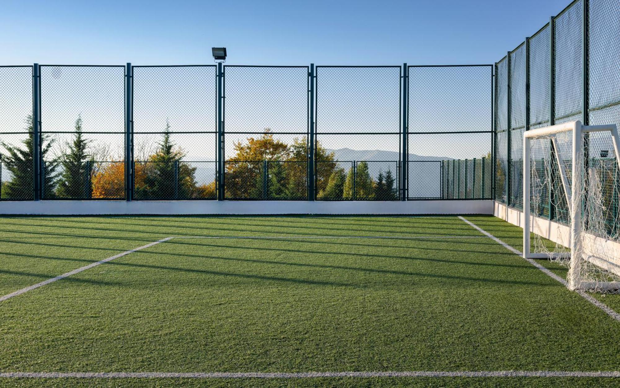 Shamakhi Palace Sharadil Seredil Екстер'єр фото The artificial grass pitch at the University of Novi Sad